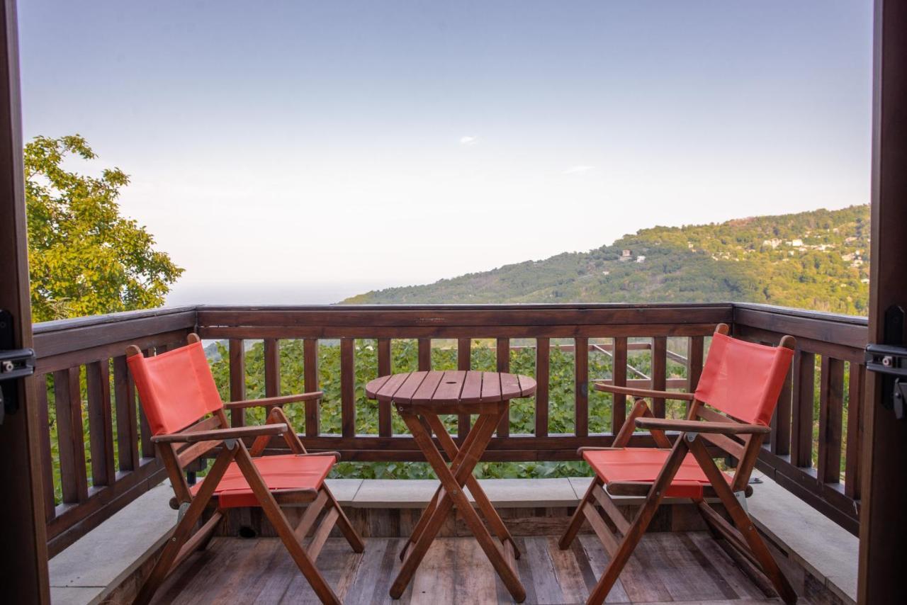 Zoes House Villa Makrirrakhi Luaran gambar